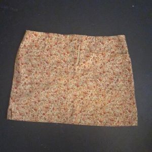 Express Stretch skirt